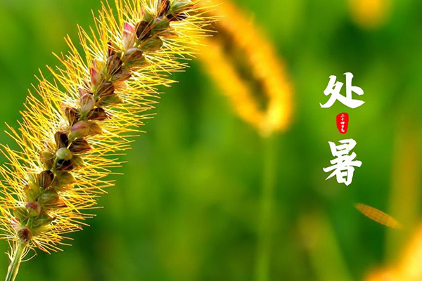 ���İ��b | �]�e�������s����һ��������S